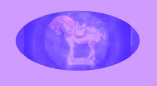 080613_toy_collectors_gold_relics_paperweights001019.jpg