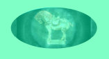 080613_toy_collectors_gold_relics_paperweights001021.jpg